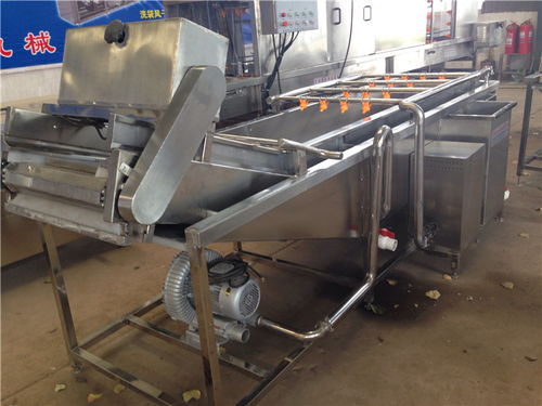 軟包裝氣泡蔬菜清洗機 億馬食品機械的革新選煤設備解析